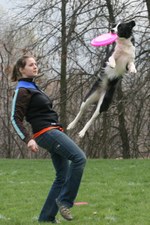 Enlarge photo 30