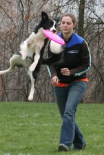 Enlarge photo 32