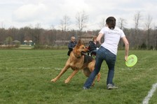 Enlarge photo 36