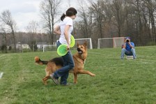 Enlarge photo 37