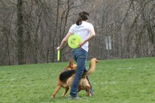Enlarge photo 43