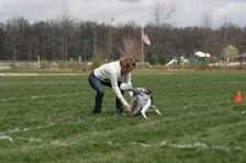 Enlarge photo 51