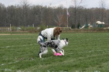 Enlarge photo 53