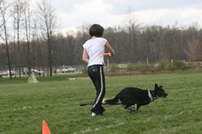 Enlarge photo 68