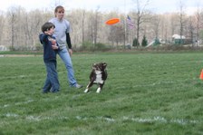 Enlarge photo 78