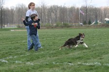 Enlarge photo 80