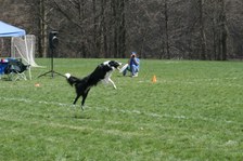 Enlarge photo 91