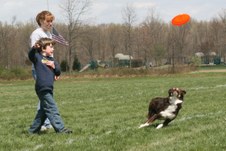 Enlarge photo 92