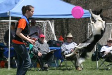 Enlarge photo 105
