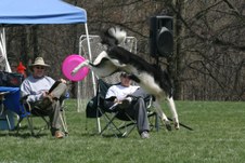 Enlarge photo 107