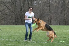 Enlarge photo 110