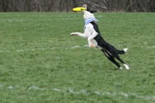 Enlarge photo 127