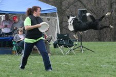 Enlarge photo 134