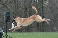 Enlarge photo 144