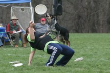 Enlarge photo 155