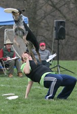 Enlarge photo 156