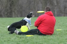 Enlarge photo 159