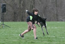 Enlarge photo 165