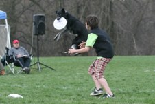 Enlarge photo 166