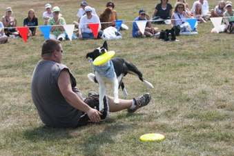Enlarge photo 30