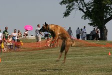 Enlarge photo 14