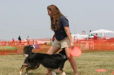 Enlarge photo 33