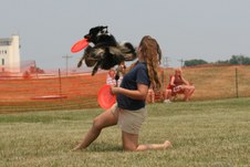 Enlarge photo 38