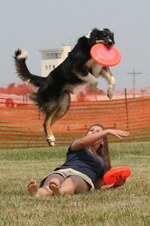 Enlarge photo 40