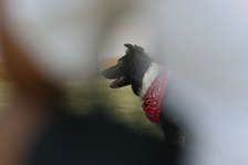Enlarge photo 42