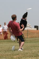 Enlarge photo 43
