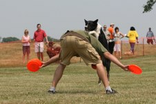 Enlarge photo 49