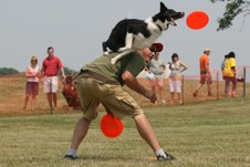 Enlarge photo 50