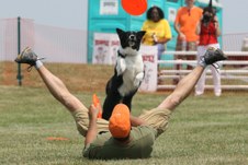 Enlarge photo 57
