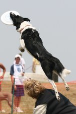Enlarge photo 63