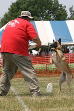 Enlarge photo 67