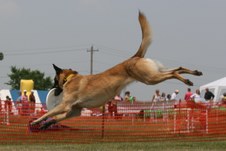 Enlarge photo 75
