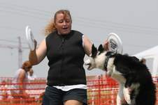 Enlarge photo 78