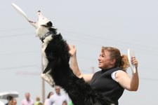 Enlarge photo 79