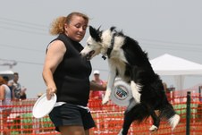 Enlarge photo 80