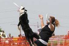 Enlarge photo 81