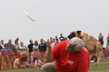 Enlarge photo 102