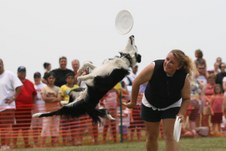 Enlarge photo 112