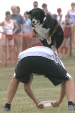 Enlarge photo 113
