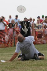 Enlarge photo 118
