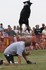 Enlarge photo 120