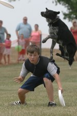 Enlarge photo 130