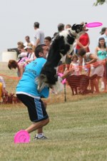 Enlarge photo 134