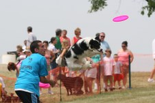 Enlarge photo 135
