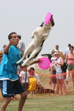 Enlarge photo 137