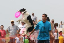 Enlarge photo 139